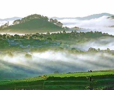 Khám phá cao nguyên Di Linh – Đà Lạt (thắng cảnh Lâm Đồng)